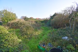 - click for photo gallery